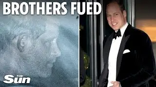 Prince William was never going to see Prince Harry – not after everything he’s done – royal expert
