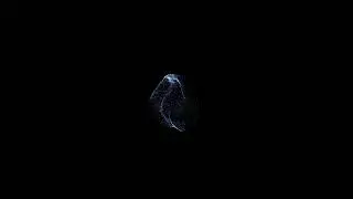 React Three Fiber 3d Particle Animation 