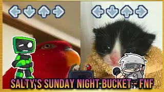 Salty's Sunday Night BUT TOWEL CAT VS RED BIRB GUMI- Friday Night Funkin' Animation -  Bucket