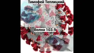 Тимофей Теплицкий - Волна 103.9 (отрывок книги)