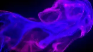 Test video