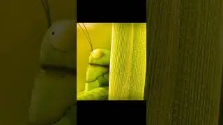 😀😃😄😁😂😂🥲🤣