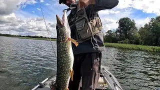 Новый водоём С БОЛЬШИМИ ЩУКАМИ! Сумка КИМОТО и Воблерный день с BASSPRO!