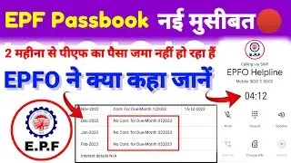 PF Passbook मैं पैसा जमा नहीं हो रहा है🤬 जानें EPFO. ने क्या कहा Live REC. 