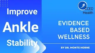 BOSU Ball Standing Bilateral Ankle Range of Motion