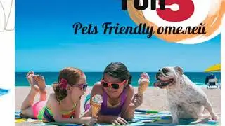 Топ-5 Pets Friendly отелей👇⠀Сочи