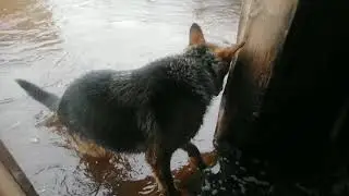 Сегодня утром.
