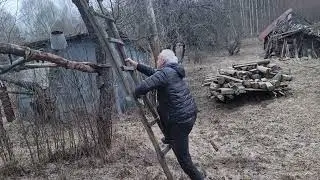 Grigorij Koffman lipa kopėčiom