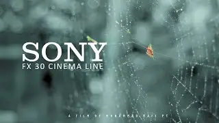 FX30 Sample 4k Video | Sony FX30 | S-log 3 | Davinci resolve 2024