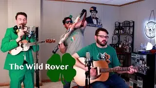 🍀🍀 The Wild Rover - Irish Tin Whistle (Penny Whistle) in High D - Guitar - Matt Tastic 🍀🍀