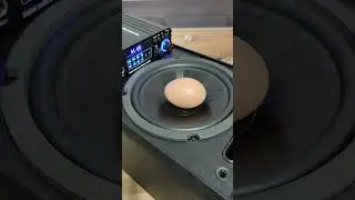 Speaker VS Eggs 💪Extreme Bass Test Subwoofer 4.0🔥💣#woopker #S288 #shorts #dj #bassboosted #amplifier
