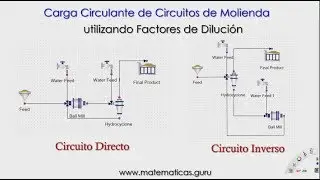 Cálculo de carga circulante utilizando factores de dilución