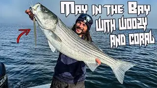 Smashing Striped Bass in the Bay with Woozy and Coral