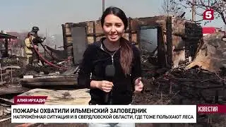 Какие регионы России охватили сильные пожары