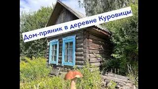Участок 10 соток в деревне Куровицы и дом пряник 1900 года