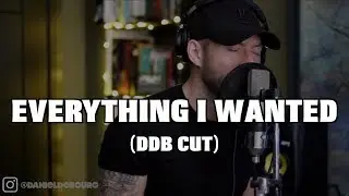 Everything I Wanted - Billie Eilish (DDB cover)