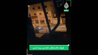 free🇵🇸🇵🇸🇵🇸