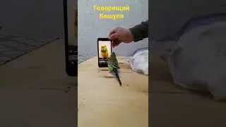 Менің Кешам 💋