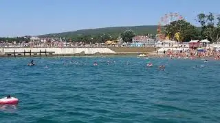Дивноморское 2019. Дельфины на обеде