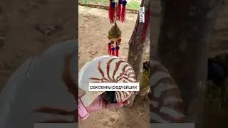 Знакомимся с нашим новым преподавателем биологиии ❤️ #каксдатьегэ #школа #биология #вебиум