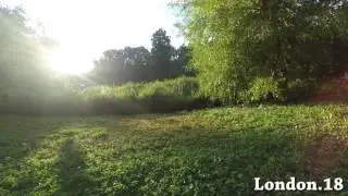Timelapse #72
