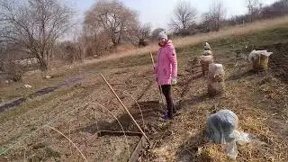 5 марта 2024 г.