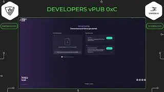 vPub 0xC - Binarly Risk Hunt: Finding firmware vulnerabilities in the wild