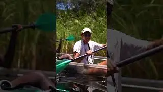 Exploring lush wetlands in a kayak | #seychellesislands #shorts