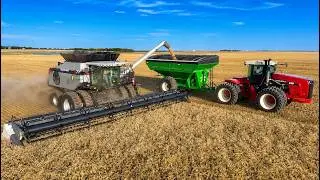 Wheat Harvest 2026 Begins in Kansas | Gleaner S77 & Versatile 340