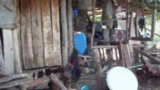 Doğada Yaşam