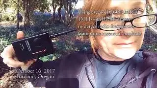 Human RF Implant Scan