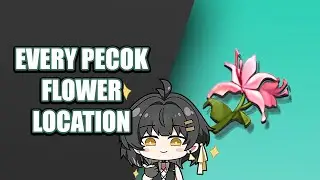 Every Pecok Flower Location in Wuthering Waves