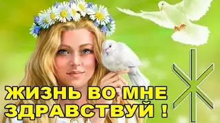 Жизнь во мне, здравствуй! День богини Живы. Вебинар Натальи  Эрас. (ссылки под видео)