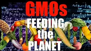 GMOs Feeding the Planet