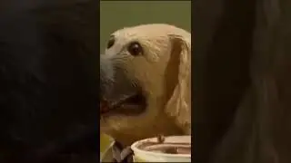 Дерьмовая диета