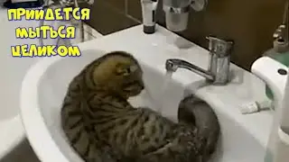 Ну всё,придётся мыться целиком.All right, you'll have to wash the whole thing.