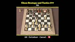 Chess Strategy and Tactics #77 | GM Esteban Canal 🇵🇪 Vs NN #catur #chess #game #checkmate #chessgame