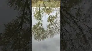 Рыбалка. Казань. Стритфишинг