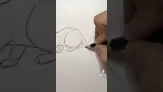 тт/ как нарисовать кота