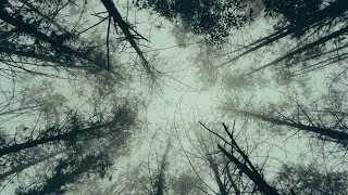 Sony a6100 | Cinematic Video | 4K