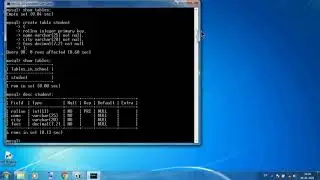 Class 11 IP MySQL Practical Create, Insert, Select Commands  Examples Explain
