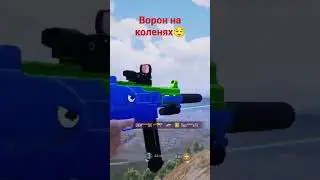 Ворон на коленях😎