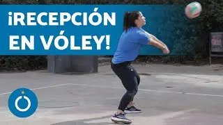 Cómo RECIBIR Mejor en VOLEY 👐🏽🏐 Como Recibir Bien en Voleibol