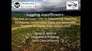 Juggling jewelflowers
