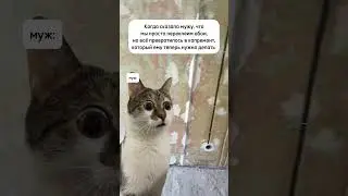 Когда хотели просто переклеить обои…