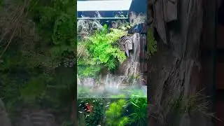 Аквариумный проект «сердце Пармы» в офисе АКВАРИУМПЕРМЬ.РФ