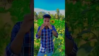 DiL ke Mora GuLi Mariii.... #odia #reels #odiasong