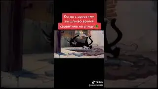 Тикток.