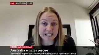 Prof. Stockin on BBC World News speaking about the possible causes of the mass stranding in Tasmania