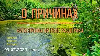 09.07.23 г. - осмотр реки Раздериха. О возможных причинах катастрофы. О шагах по восстановлению реки